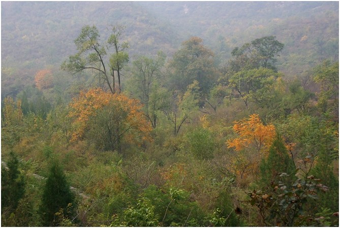 北京汇泽知识产权代理有限公司2013年秋季长走活动公告