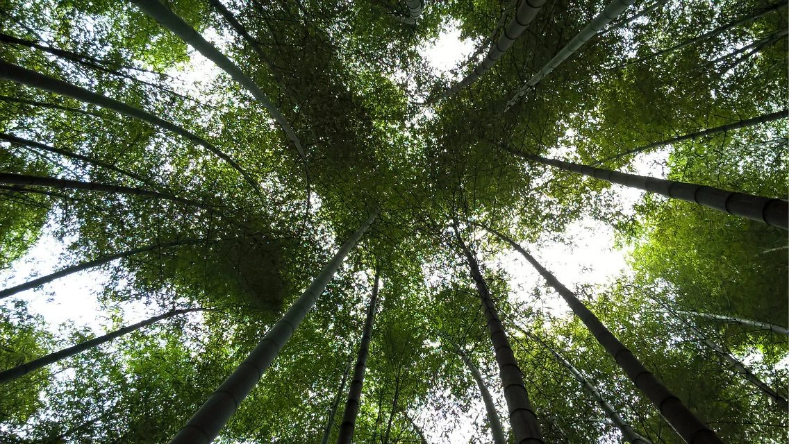 穿云过雾尧峰行