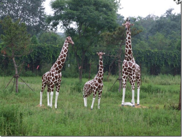 北戴河游记之一